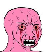 273x312
