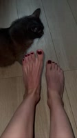 720x1280