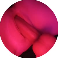 384x384