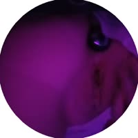 384x384