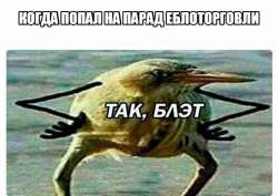 922x654