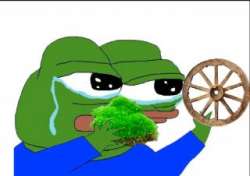 320x226