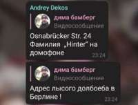 294x224