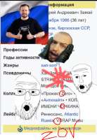 463x669