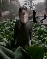 360x450
