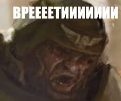 231