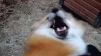 1028