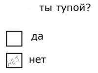 499x377