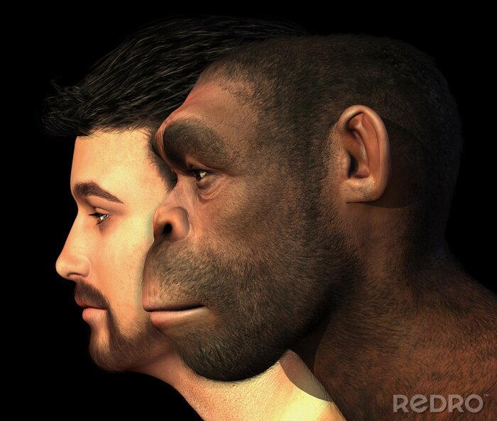 700x594