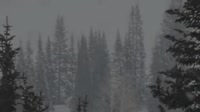 640x360
