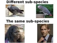 400x300