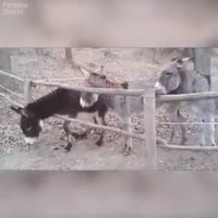 360x360
