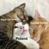 728x728