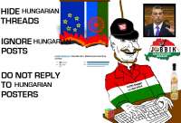 1303x892