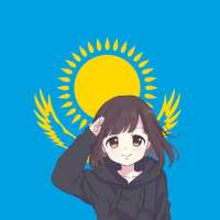 604x604