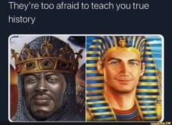684x498