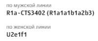 224x93