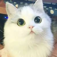 500x500