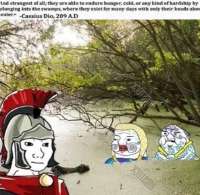 496x485