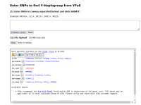 977x731