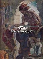 576x784