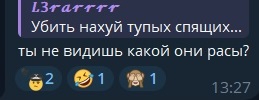 259x100