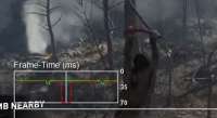 460x251
