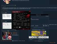 1256x968
