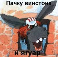 492x480