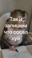 464x848