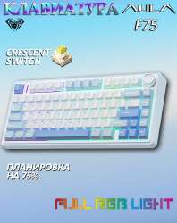 667x841
