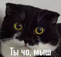 828x776