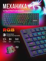 750x1000