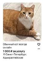 264x372