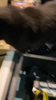 540x960