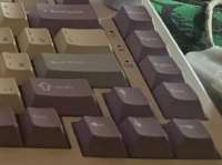 515x386