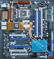 731x800