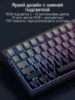 669x893