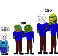 1262x1228