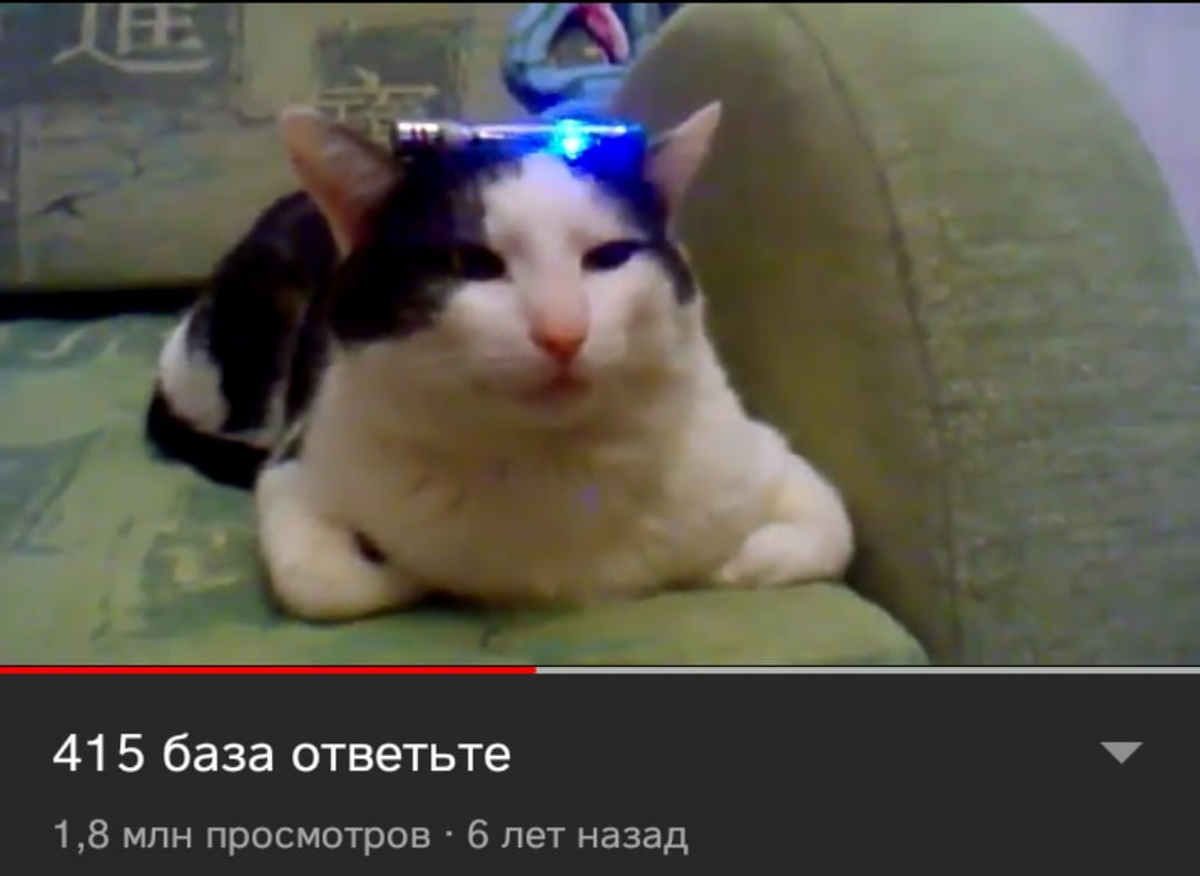 1080x788