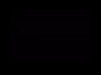 320x240
