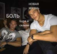 482x460