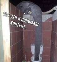 592x646