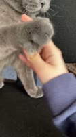 540x960