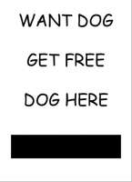 364x500
