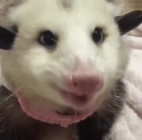 324x322