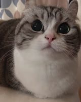 640x800