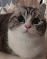 640x800