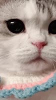 480x854