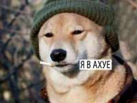 400x302